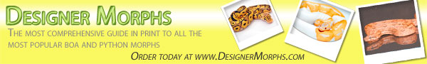 Designer Morphs